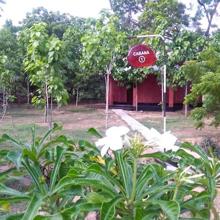 Hotel Lavish Eco Jungle Tissamaharama Exterior foto